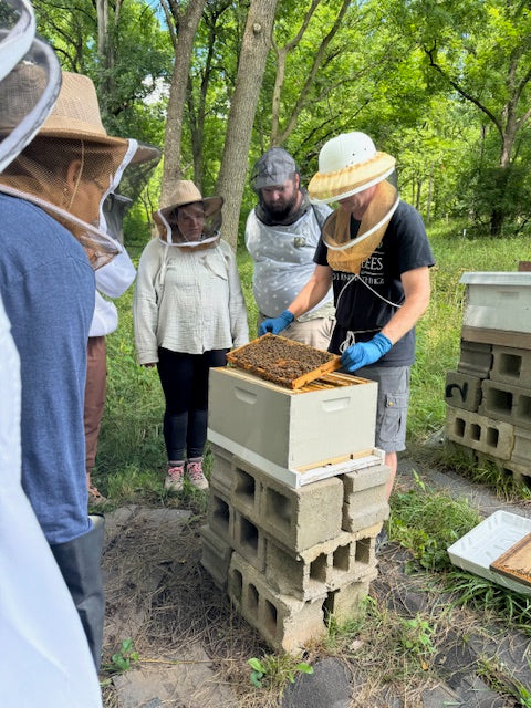 Beekeeping class with Engaged Bees showing a hive inspection